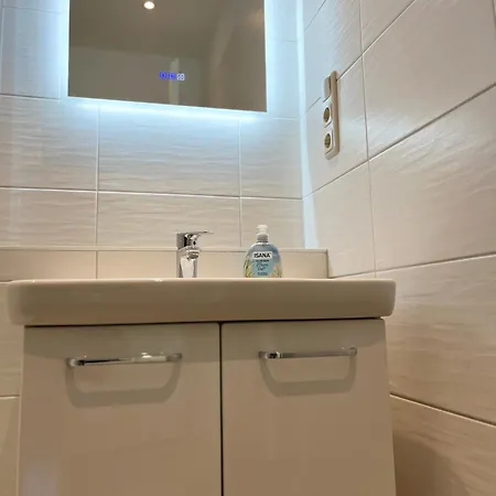 Zingsturlauber * ツィングシュト